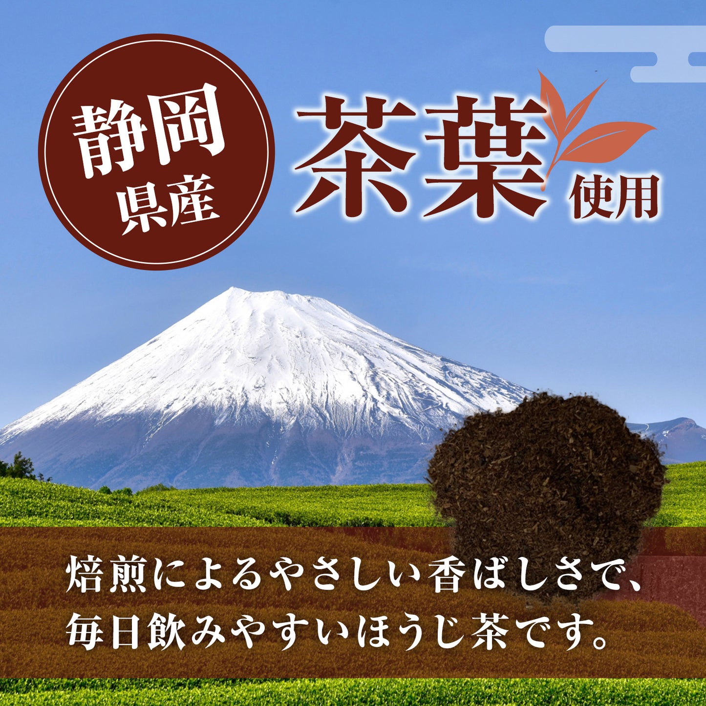静岡茶 ほうじ茶 ティーバッグ 10g×100袋セット