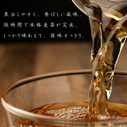 静岡茶 業務用麦茶 ティーパック 10g×100袋