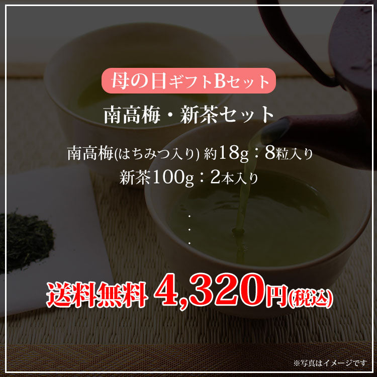 母の日 ギフト Bセット 南高梅・新茶セット