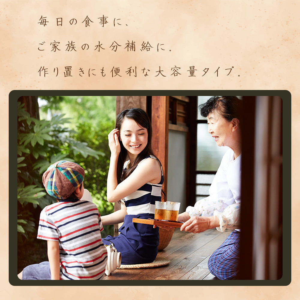 静岡茶 業務用麦茶 ティーパック 10g×50袋