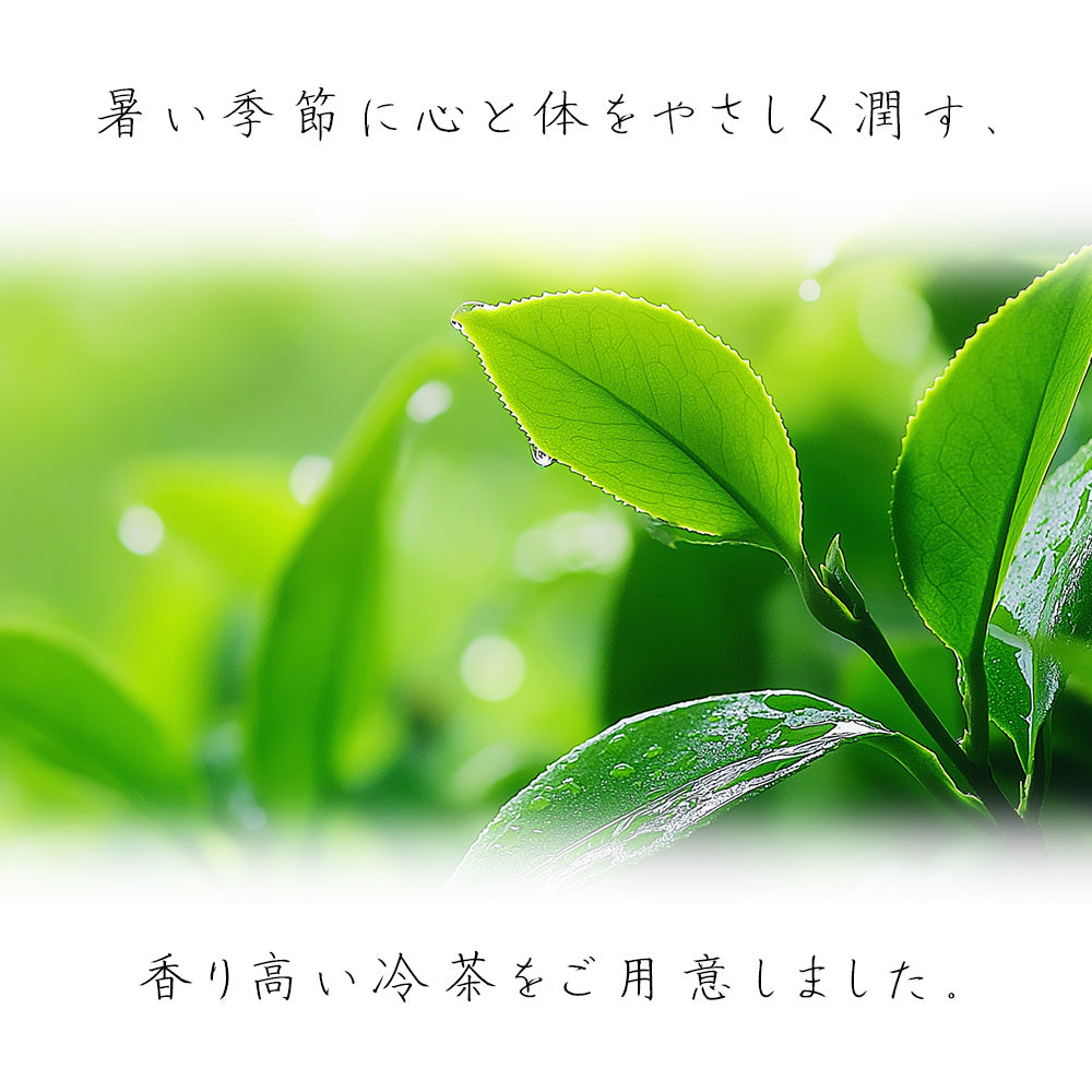 静岡茶 水出し煎茶 ティーパック 7g×10袋