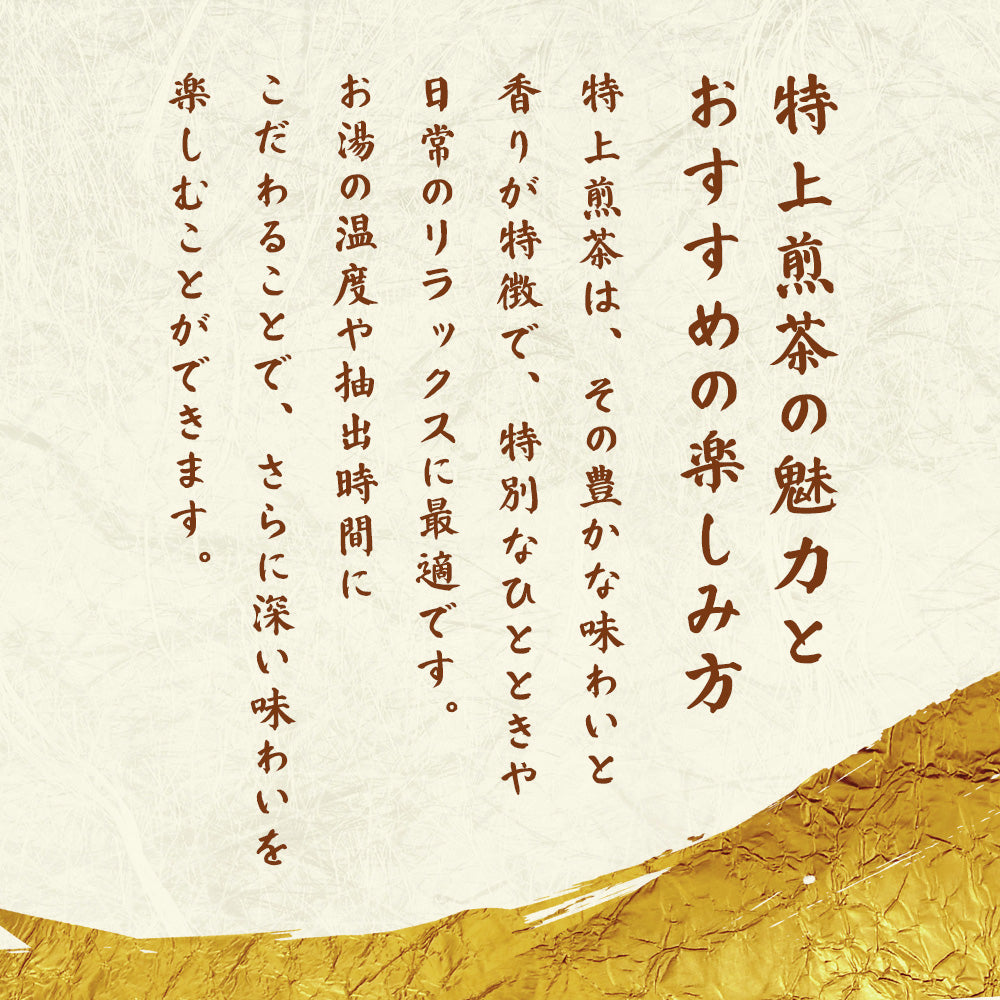 静岡茶 やまぶき 特上煎茶 100g